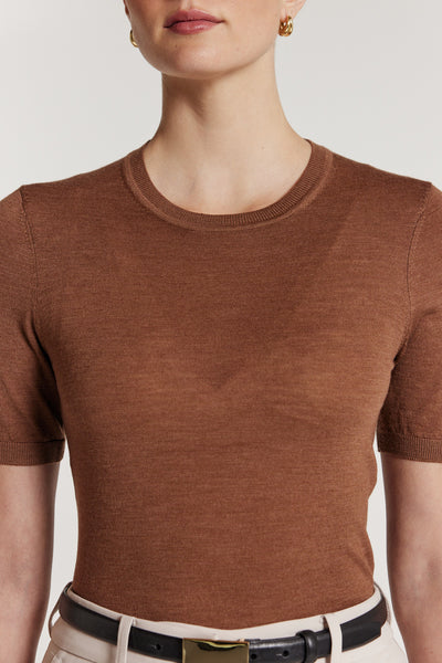 Superfine Merino Top - Chestnut-Perri Cutten