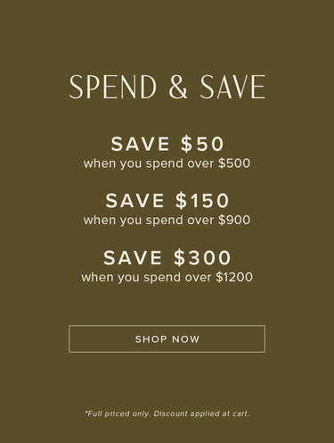 spend and save